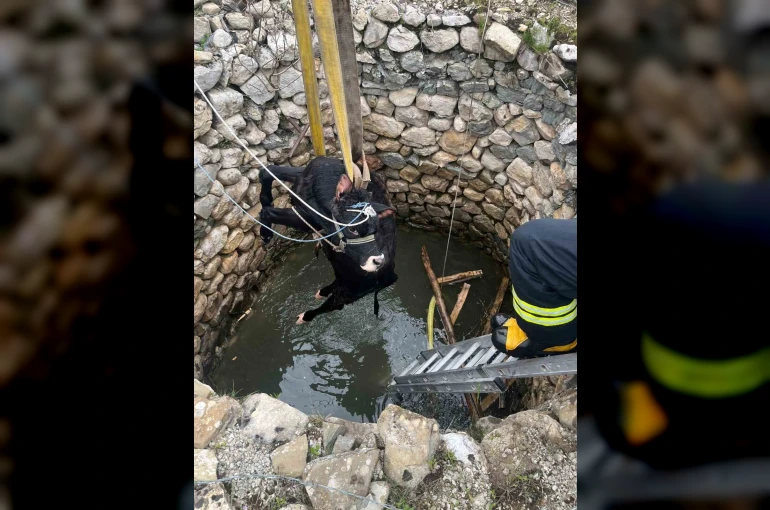 Su kuyusuna düşen inek itfaiye ekiplerince kurtarıldı