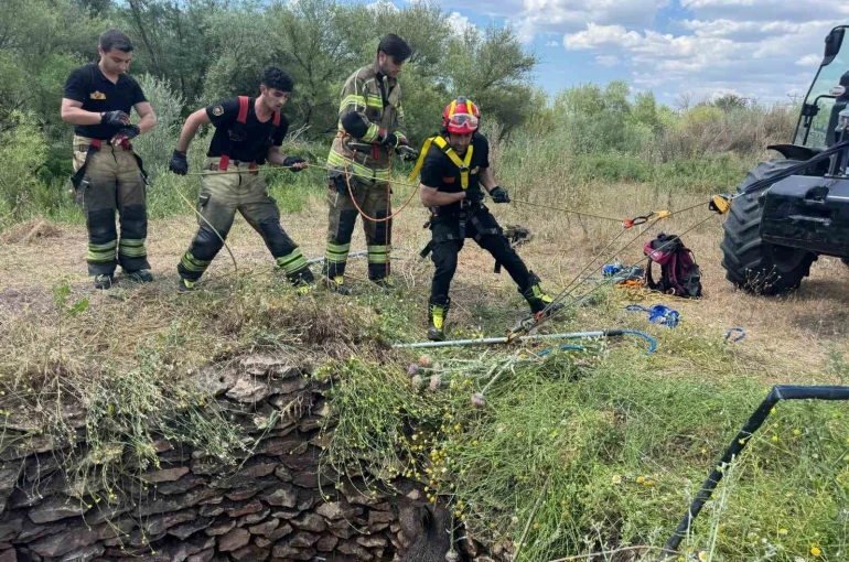 Su kuyusuna düşen yaban domuzu, itfaiye ekiplerince kurtarıldı