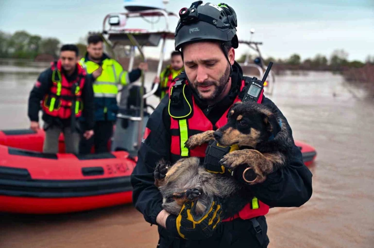 Sular altında kalan bağ evinde mahsur kalan iki köpeği belediye ekipleri kurtardı