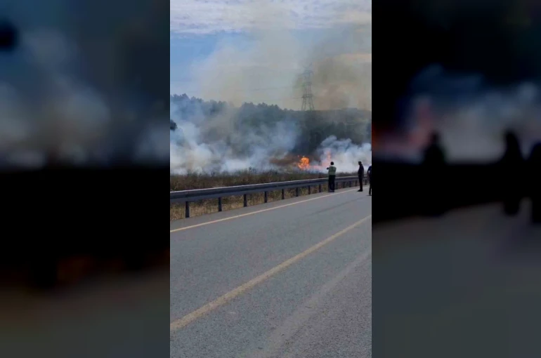 Sultangazi’de otluk alanda çıkan yangın ormana sıçradı