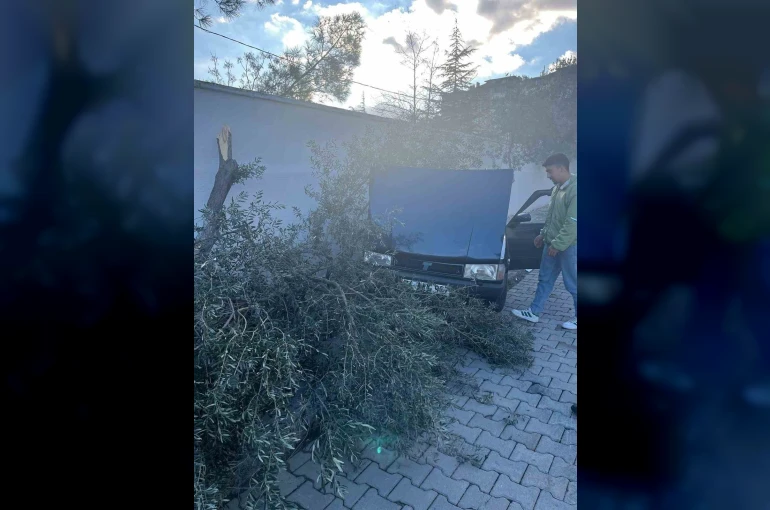 Süratli otomobil önce ağaca sonra duvara çarptı