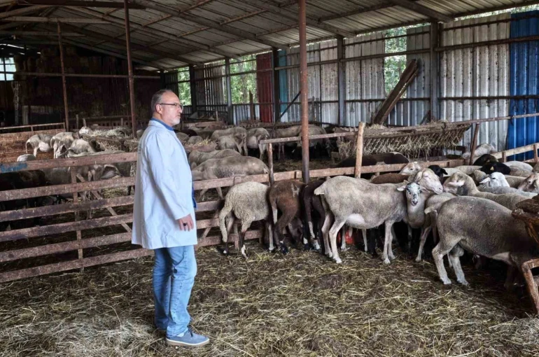 Süt kalitesi ve hayvan sağlığı güvence altında