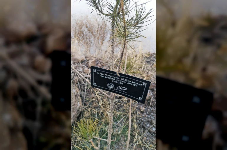 Talas Belediyesi’nden geleceğe nefes: Her bebek için bir fidan