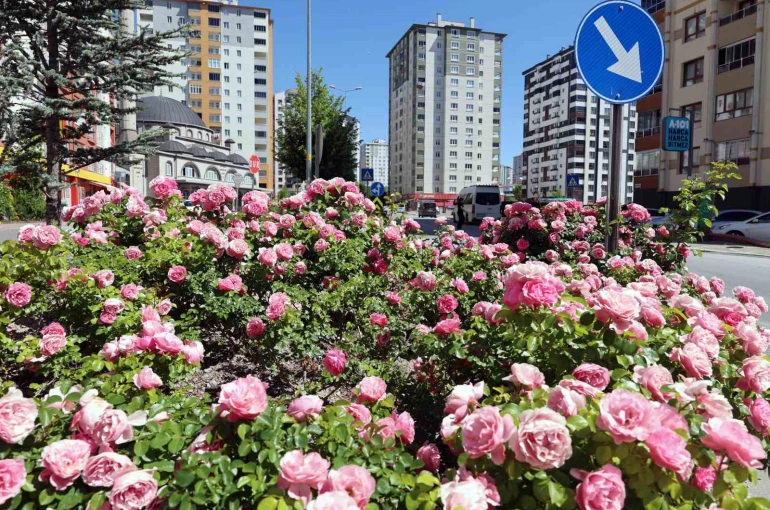 Talas’ta çiçek yılında sahne güllerin