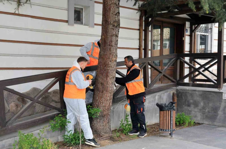 Talas’tan çevre dostu ilaçlama atağı 