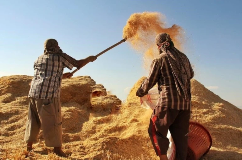 Tarım-GFE yıllık yüzde 34,22 arttı