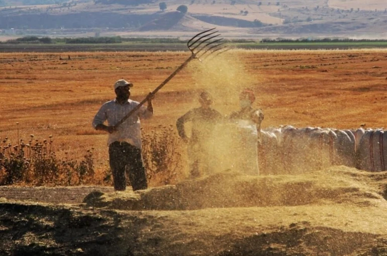 Tarım-GFE yıllık yüzde 34,60 arttı