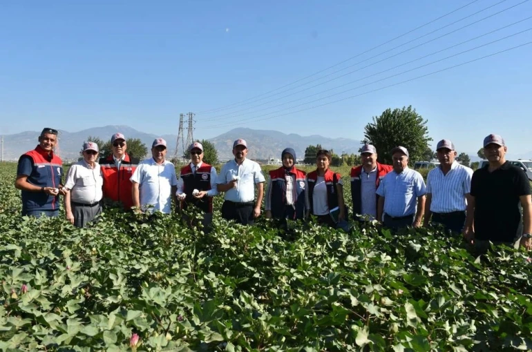 Tarım İl Müdürü Temiz: "Pamuk Aydın için stratejik bir ürün"
