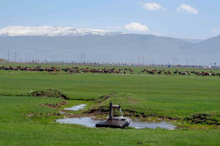 Tarımda önder üretici modeli vurgusu