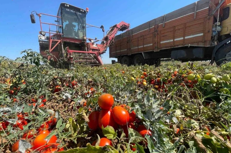 Tarımda plansızlık, üreticiyi zora sokuyor