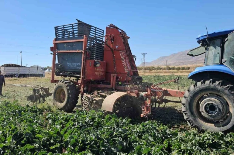 Tarımın kalbi Adilcevaz’da pancar sökümüne başlandı