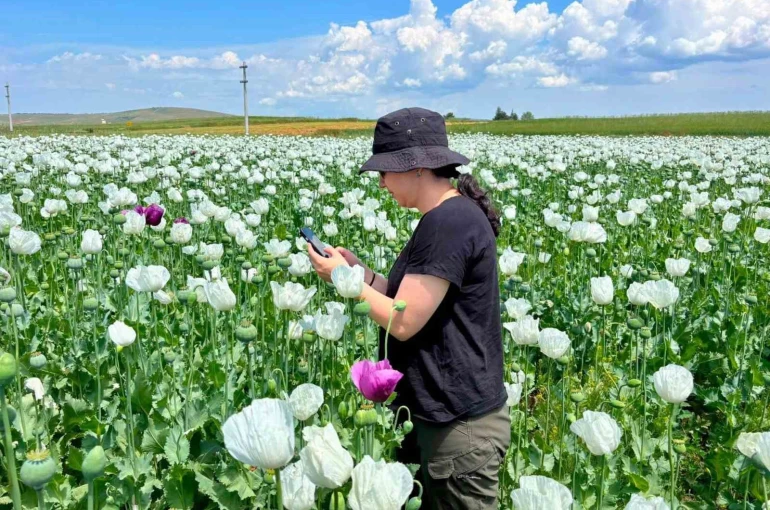 Tarımsal üretimin planlı şekilde yürütülmesi için çalışmalar sürüyor