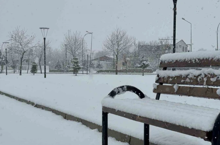 Tatvan’da kar yağışı