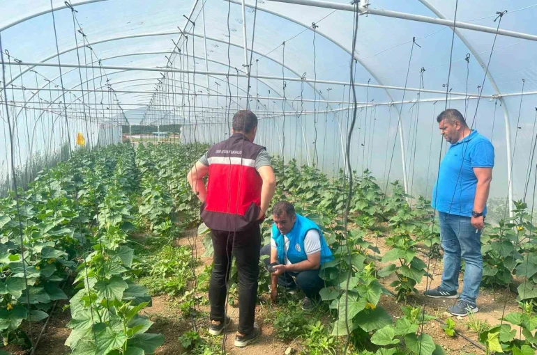 Tavşanlı cezaevi serasında üretim faaliyetleri incelendi
