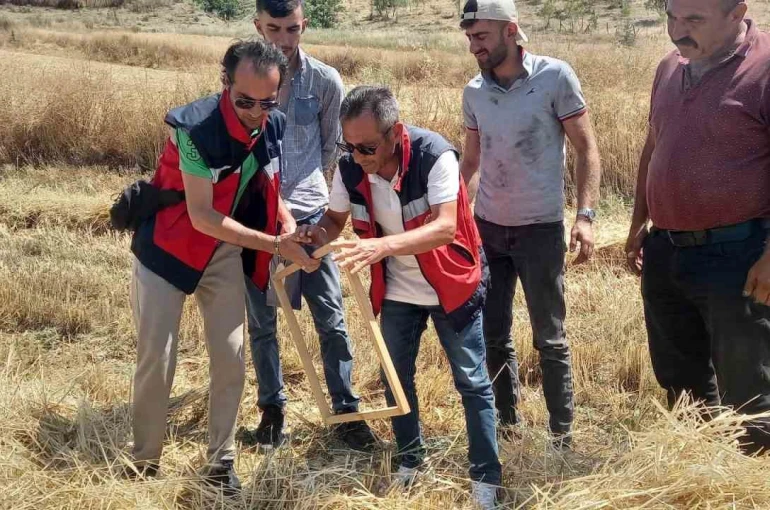 Tavşanlı’da biçerdöver kontrolleri sürüyor