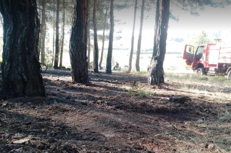 Tavşanlı’da erken müdahale ormanı kurtardı