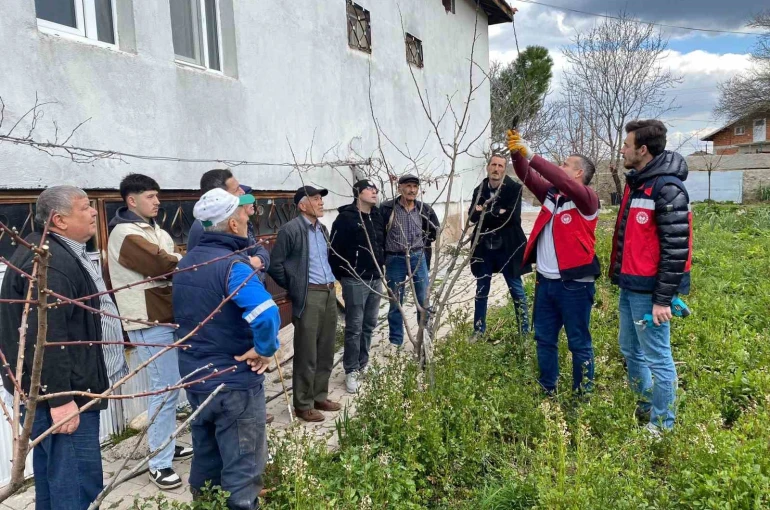 Tavşanlı’da meyve üreticilerine budama eğitimi
