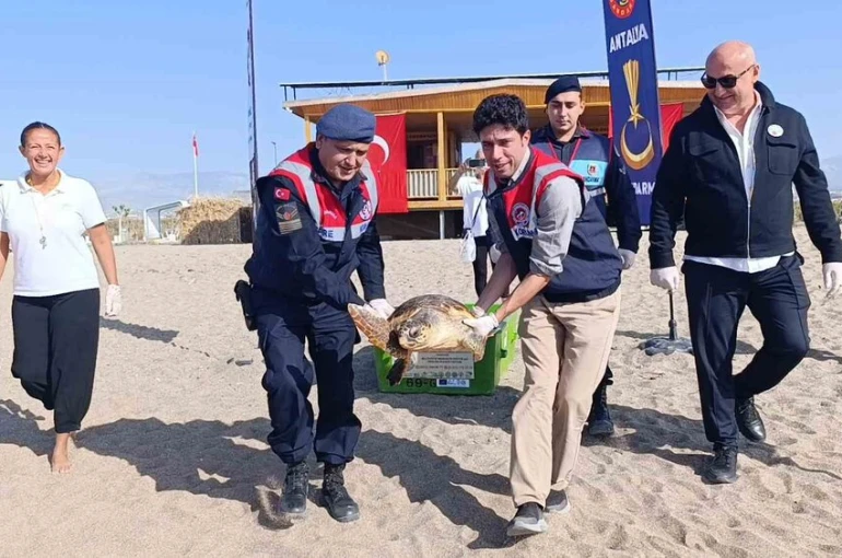 Tedavisi tamamlanan caretta caretta denizin maviliğine kulaç açtı