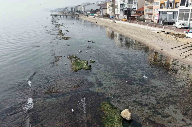 Tekirdağ deniz çekildi ’Kral yolu’ ortaya çıktı