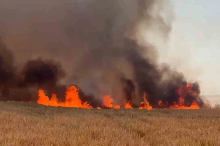 Tekirdağ İtfaiyesi 7 ayda 8 bin 157 olaya müdahale etti 