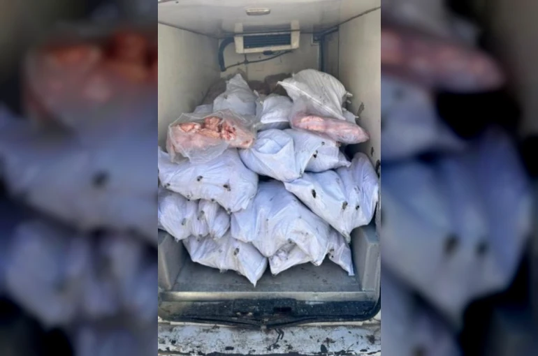 Tekirdağ’da 1,5 ton iç yağ ve 140 kokoreç imha edildi