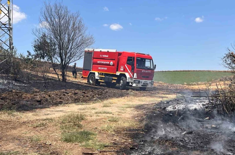 Tekirdağ’da 25 dönüm buğday ekili alan yandı