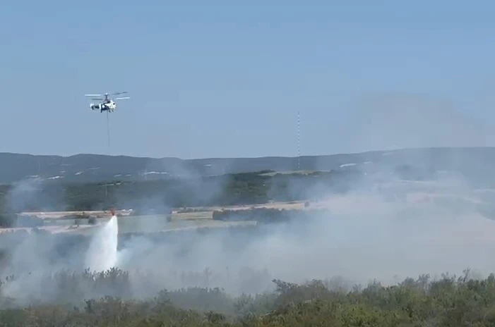 Tekirdağ’da anız yangını ormana sıçradı: Havadan ve karadan müdahaleyle kontrol altına alındı