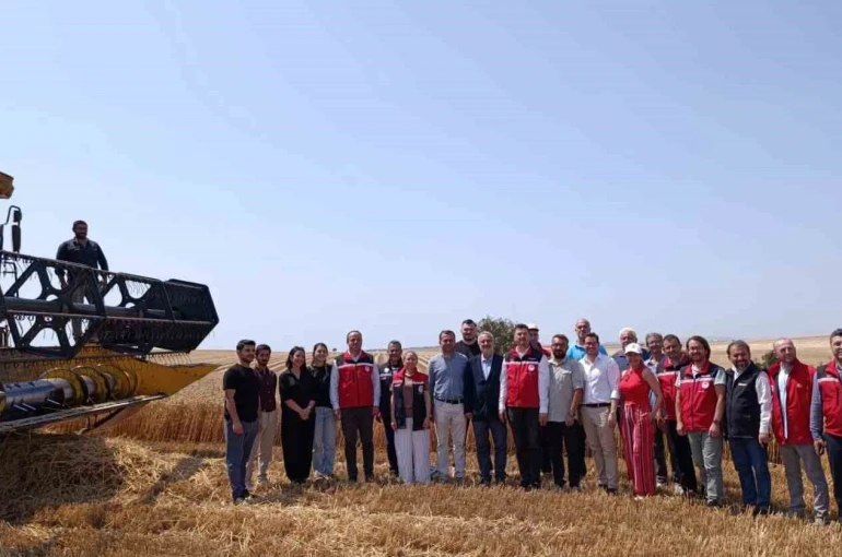 Tekirdağ’da bitkisel yağ üretiminde gıda güvenliği mercek altında