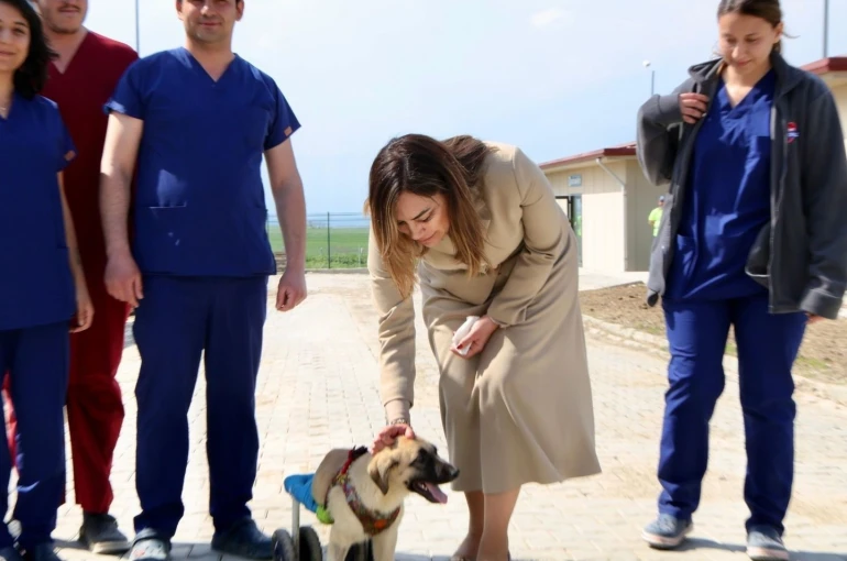 Tekirdağ’da can dostları için 10 bin metrekarelik yaşam alanı