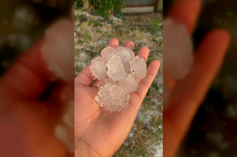 Tekirdağ’da dolu ayçiçeği ve karpuz tarlalarını vurdu