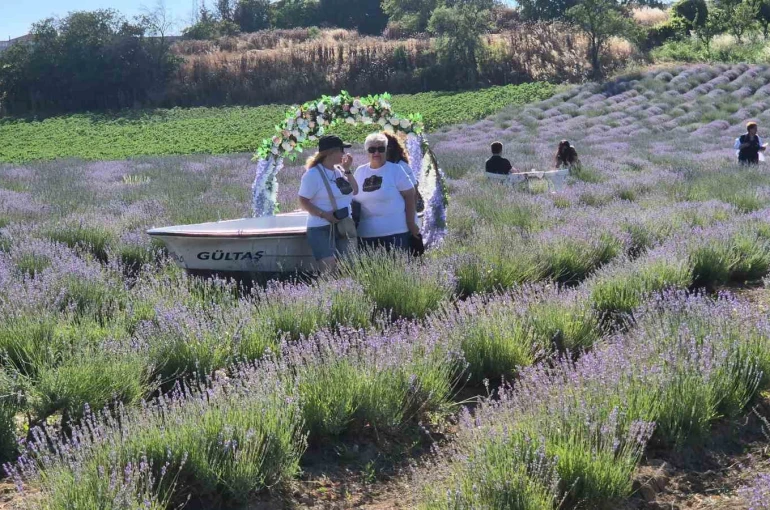 Tekirdağ’da Lavanta Şenliği başladı