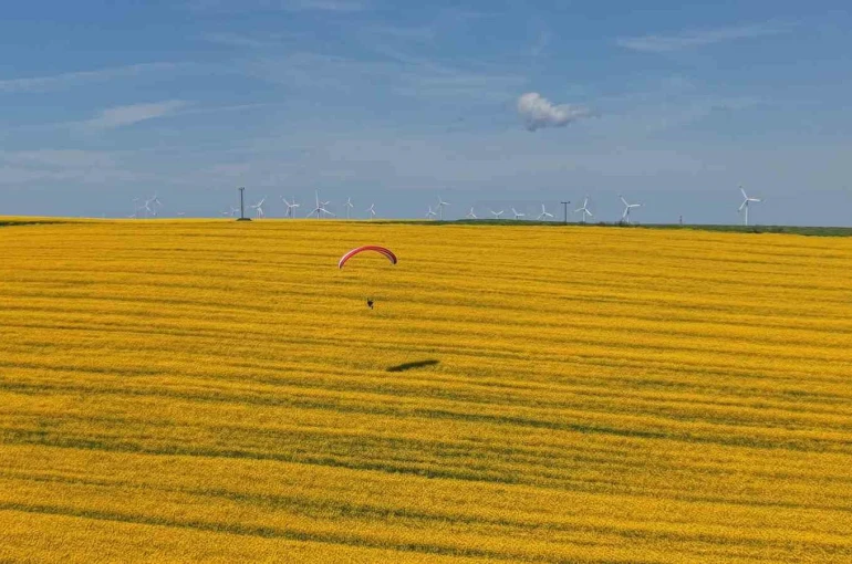 Tekirdağ’da sarı şölen: Paramotorlar sarı tarlaları gezdi