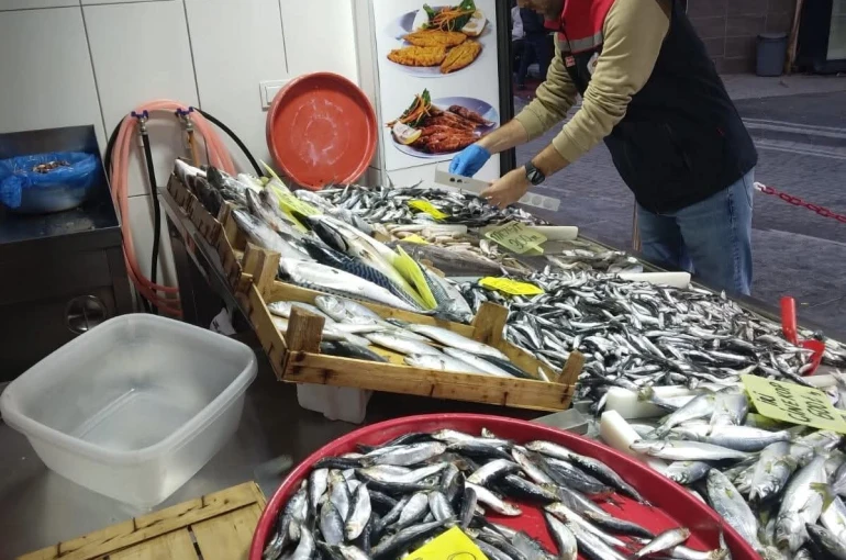 Tekirdağ’da su ürünleri denetimleri aralıksız sürüyor