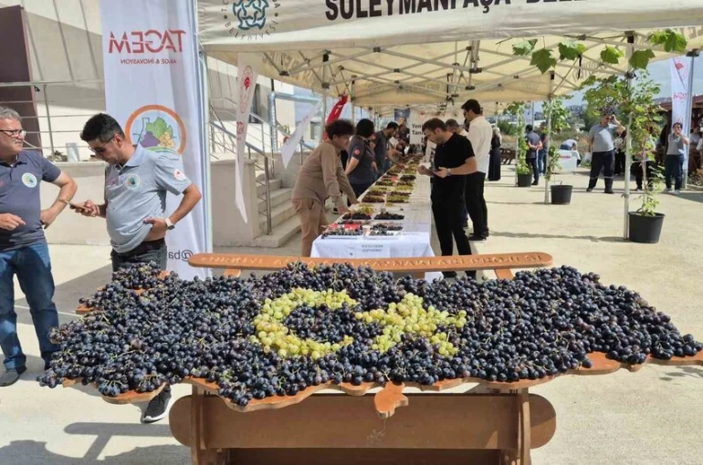 Tekirdağ’da üzüm şöleni: Onlarca yeni çeşit tanıtıldı