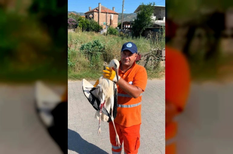 Temizlik personelinin duyarlılığı yaralı Leyleğe umut oldu