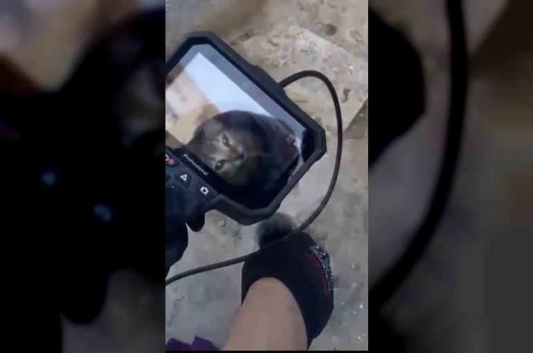 Teras gider borusunda 5 metre derine düşen kediyi itfaiye kurtardı 
