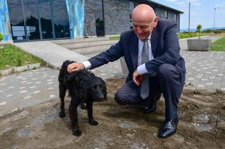 Terme’de sevgi ve merhamet projesi