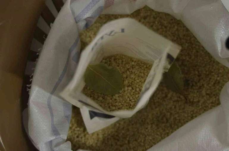 Tescilli Karacadağ pirinci testten geçti: Pestisit yok, protein yüksek