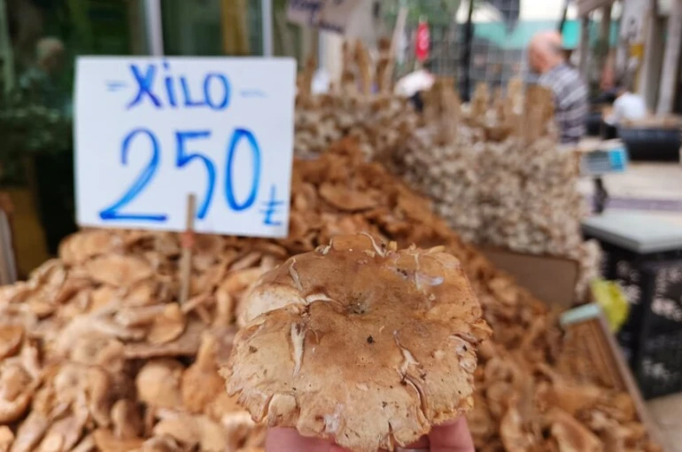 Tezgahlarda tirmit bolluğu: Fiyatı düştü