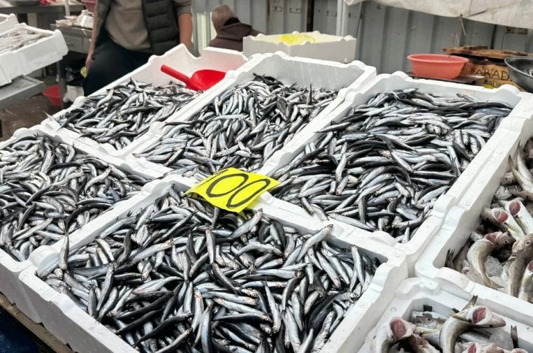 Tezgahta 100 liraya düşen hamsi yoğun ilgi gördü