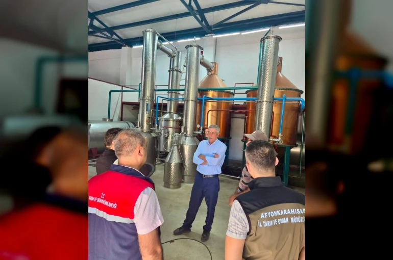Tıbbi aromatik bitki üretimi için saha çalışmaları sürüyor
