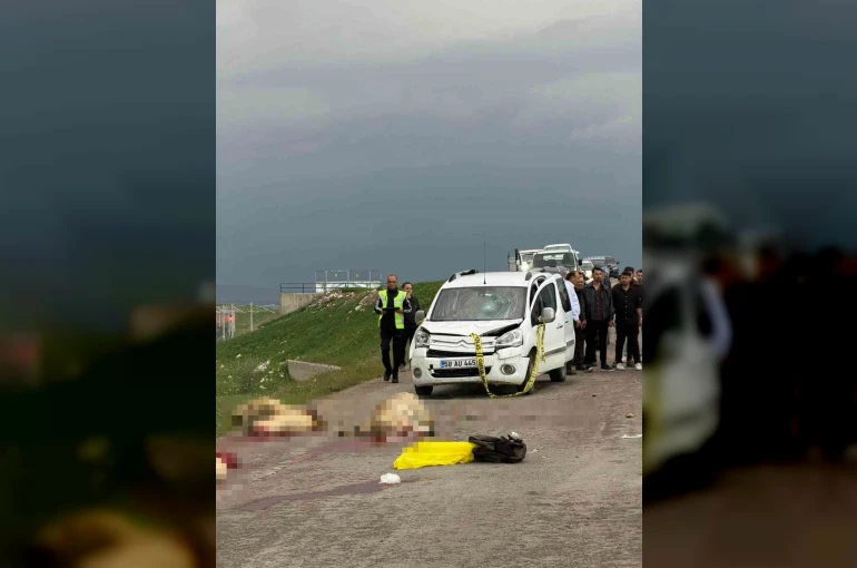 Ticari araç koyun sürüsüne daldı: Çoban öldü, 9 koyun telef oldu