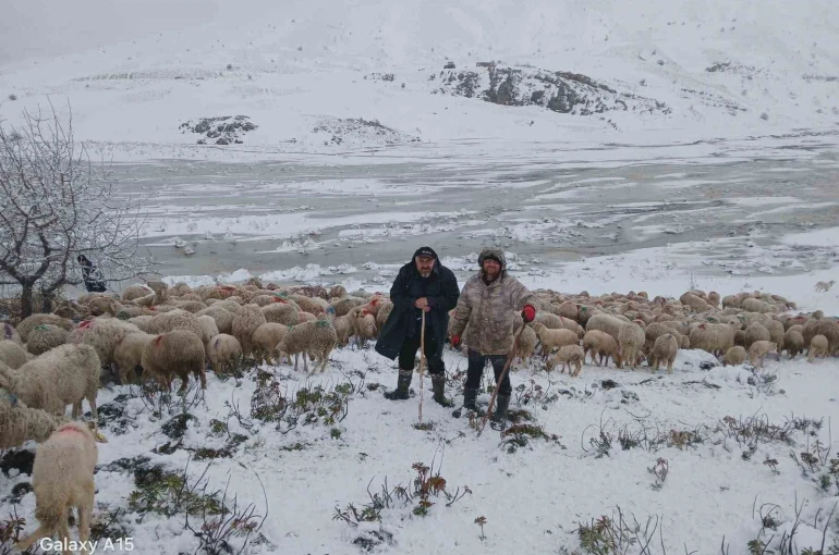Tipi vurdu heyelan yolu kapattı, 2 çoban ve yaklaşık 650 küçükbaş hayvan yaylada mahsur kaldı