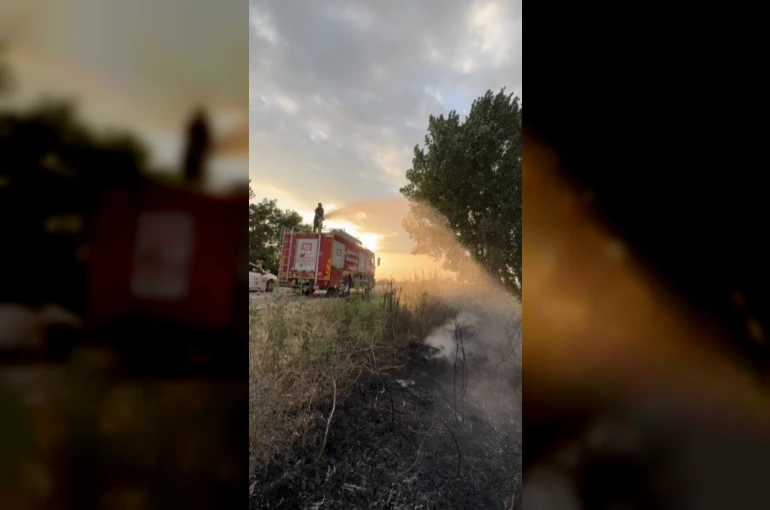 Tır lastiğinde çıkan yangın tarlaya sıçramadan söndürüldü