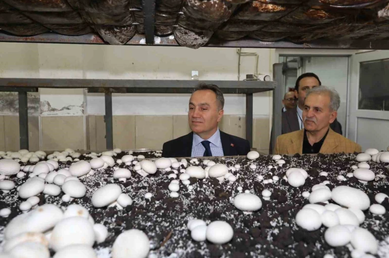 TOGÜ’de üretime dayalı eğitim modelleri güçleniyor