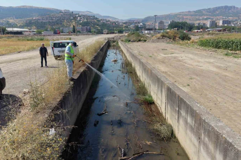 Tokat’ta sivrisinek ve haşerelere karşı kapsamlı ilaçlama seferberliği