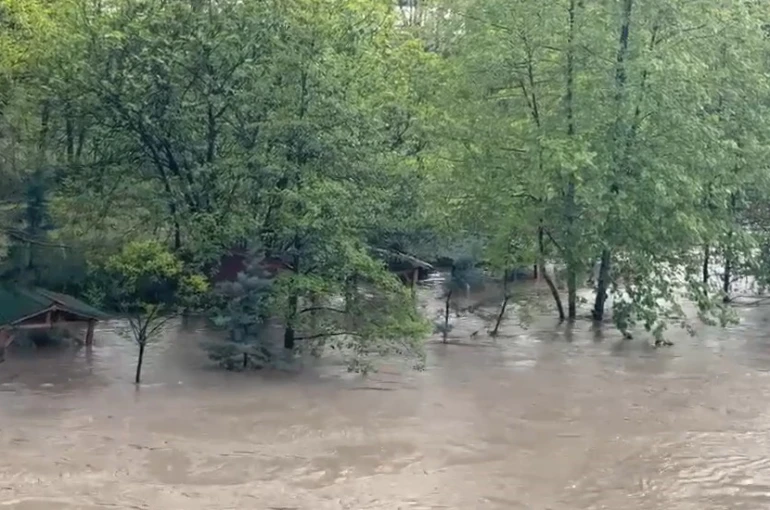 Tokat’ta yazın serinleten kamelyalar sular altında kaldı