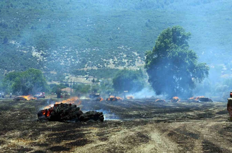 Tonlarca saman balyası yandı