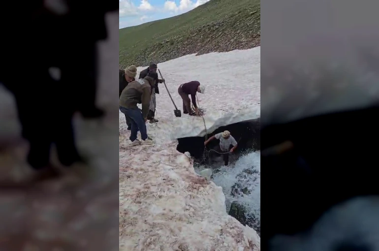 Tortum’da buzullarda dana kurtarma operasyonu