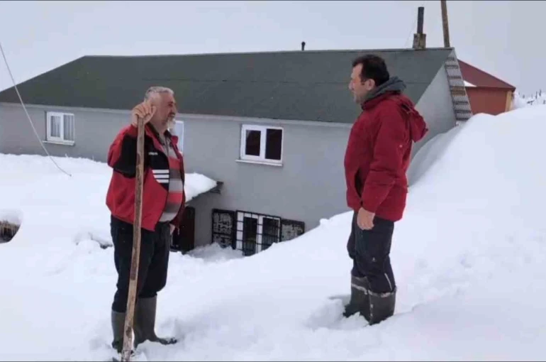 Torul’da kar altında ayı nöbeti